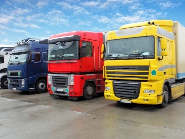 Adana Domaniç Nakliye